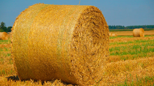 Optimal Stacking Methods for Large Round Bales: Preserving Hay Quality and Storage Efficiency